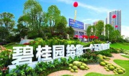 龙港碧桂园爆料最新消息,揭秘项目进展与亮点