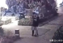 方山吃瓜最新事件爆料视频,最新爆料视频揭露惊人内幕